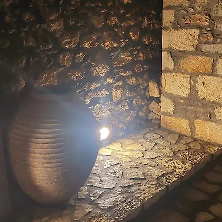 דירה Antique Stone House In סטמניצה